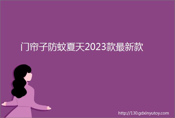 门帘子防蚊夏天2023款最新款